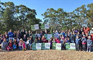 tree planting